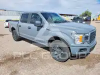 2019 Ford F-150 photo