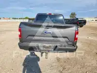 2019 Ford F-150 фото