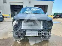 2019 Ford F-150 photo