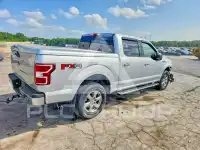 2019 Ford F-150 photo