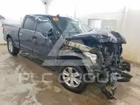 2019 Ford F-150 фото