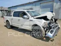 2019 Ford F-150 photo