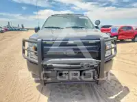 2019 Ford F-150 photo