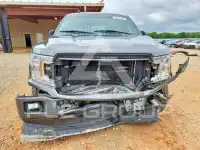 2019 Ford F-150 фото
