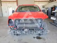 2019 Ford F-150 photo
