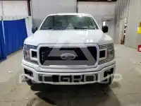 2019 Ford F-150 фото