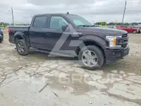 2019 Ford F-150 фото