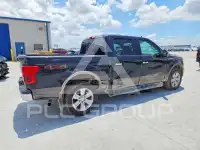 2019 Ford F-150 фото