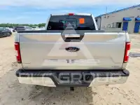2019 Ford F-150 photo