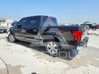 2019 Ford F-150 фото