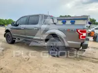 2019 Ford F-150 фото