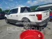 2019 Ford F-150 фото