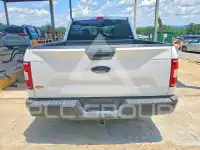 2019 Ford F-150 фото