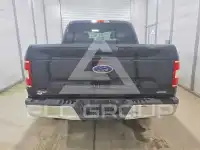 2019 Ford F-150 фото