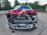 2019 Ford F-150 photo