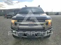 2019 Ford F-150 фото