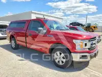 2019 Ford F-150 photo