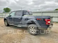 2019 Ford F-150 фото