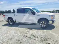 2019 Ford F-150 фото
