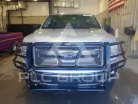 2019 Ford F-150 фото