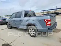2019 Ford F-150 фото