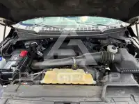 2019 Ford F-150 photo