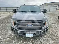 2019 Ford F-150 фото