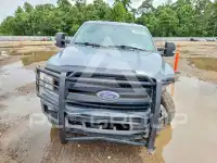 2019 Ford F-150 фото