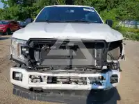 2019 Ford F-150 photo