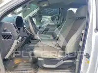 2019 Ford F-150 фото