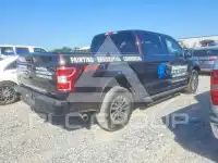 2019 Ford F-150 фото