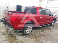 2019 Ford F-150 фото