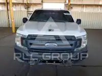 2019 Ford F-150 фото