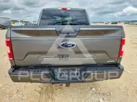 2019 Ford F-150 фото