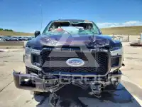 2019 Ford F-150 фото