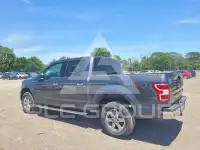 2019 Ford F-150 фото