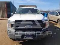 2019 Ford F-150 photo