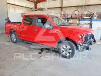 2019 Ford F-150 photo