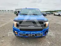 2019 Ford F-150 фото