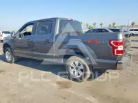 2019 Ford F-150 фото