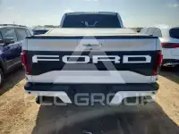 2019 Ford F-150 photo