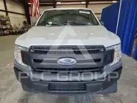 2019 Ford F-150 фото