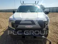 2019 Ford F-150 photo