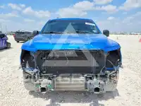 2019 Ford F-150 фото
