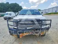 2019 Ford F-150 фото