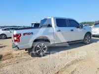 2019 Ford F-150 photo