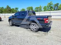 2019 Ford F-150 photo