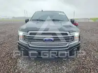 2019 Ford F-150 photo