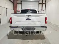 2019 Ford F-150 фото