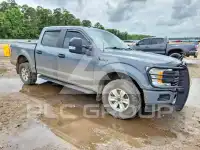2019 Ford F-150 фото